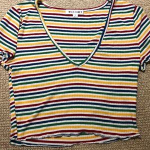 Wild Honey rainbow crop top